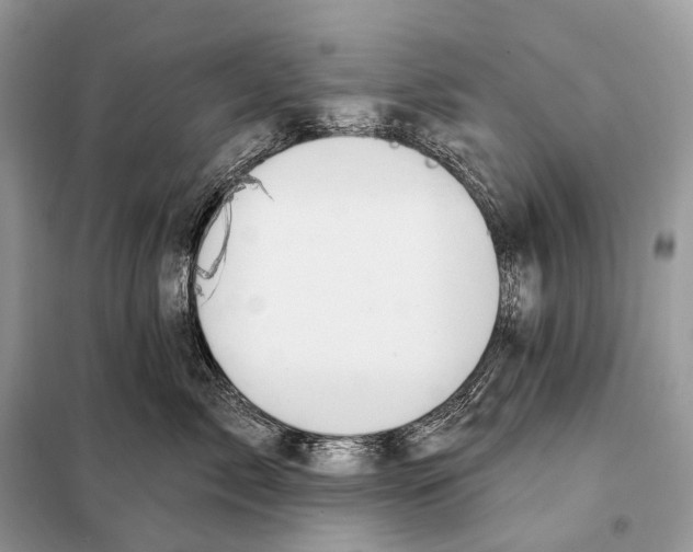 X0000098110717200805021132