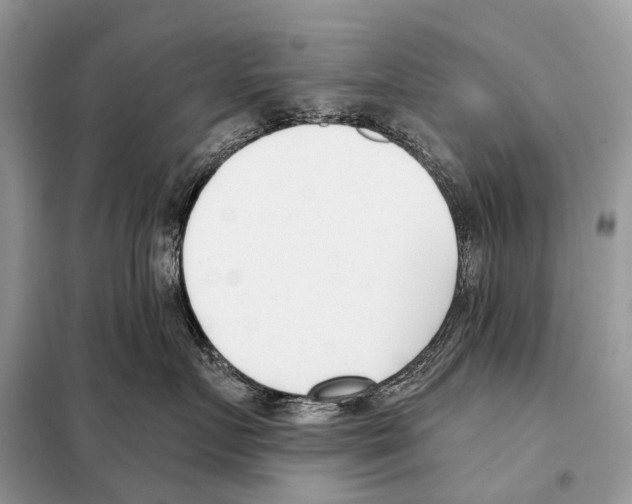 X0000098110719200805021132