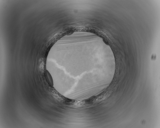 X0000098110720200805021132