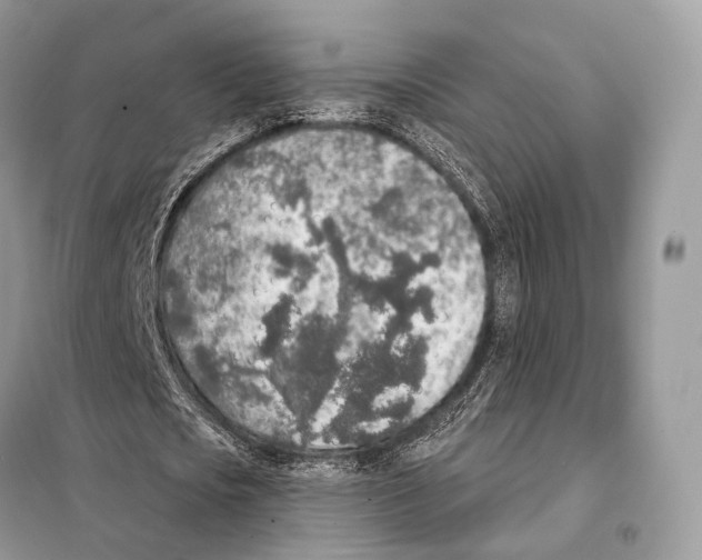 X0000098110721200805021132