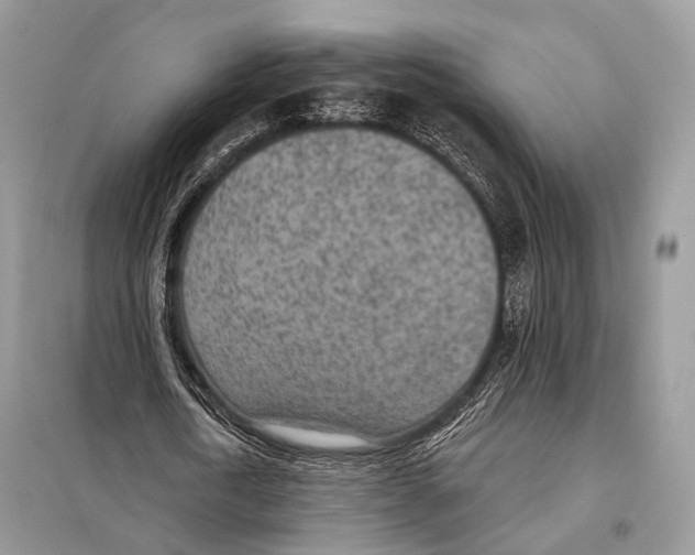 X0000098110722200805021132