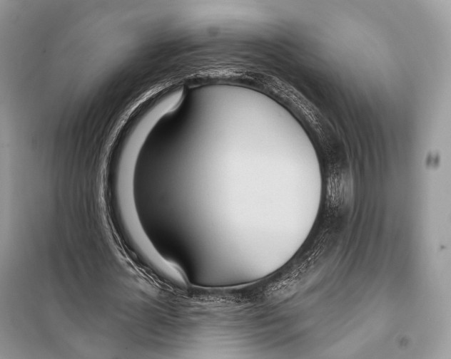 X0000098110724200805021132