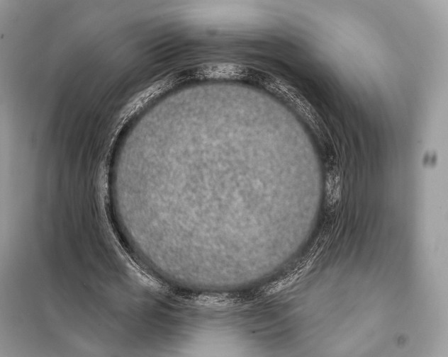 X0000098110725200805021132