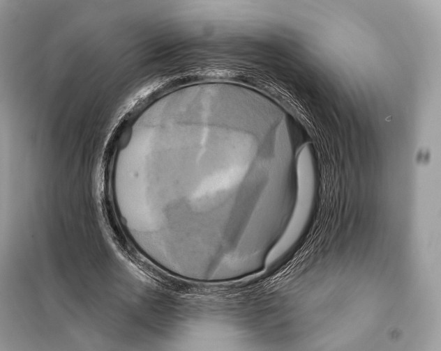 X0000098110726200805021132