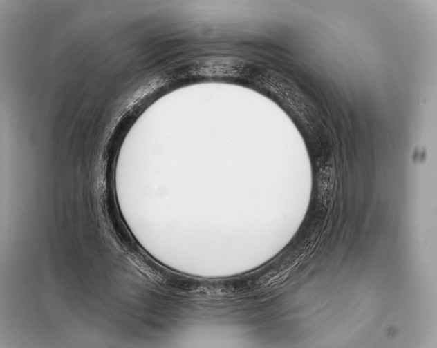 X0000098110727200805021132