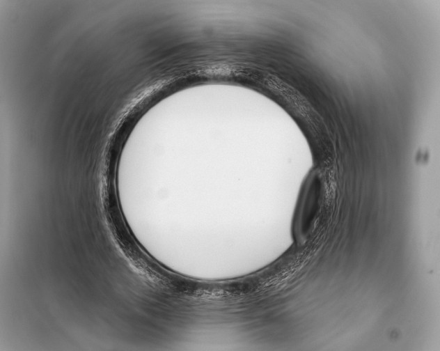 X0000098110728200805021132