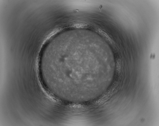 X0000098110730200805021132