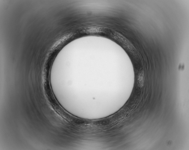 X0000098110732200805021132