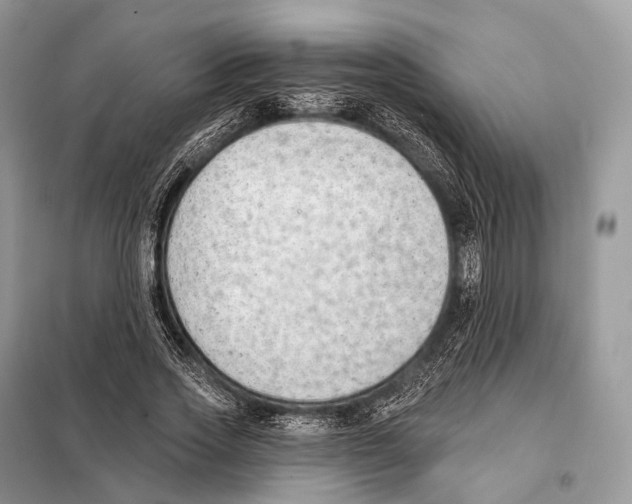 X0000098110733200805021132