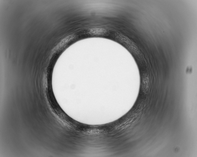 X0000098110734200805021132