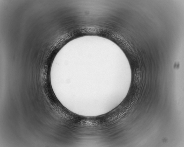 X0000098110739200805021132