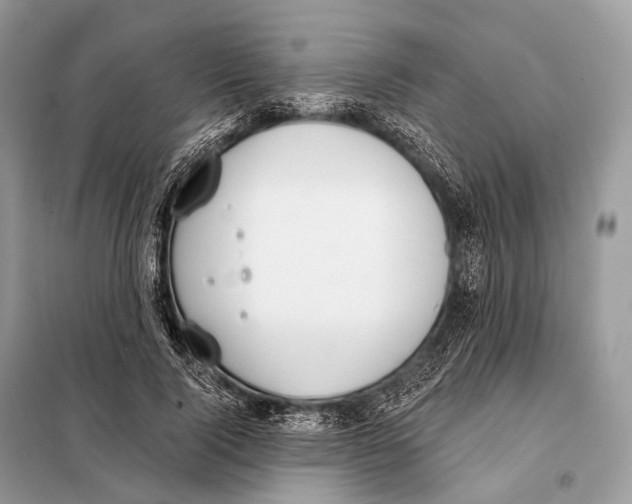 X0000098110740200805021132