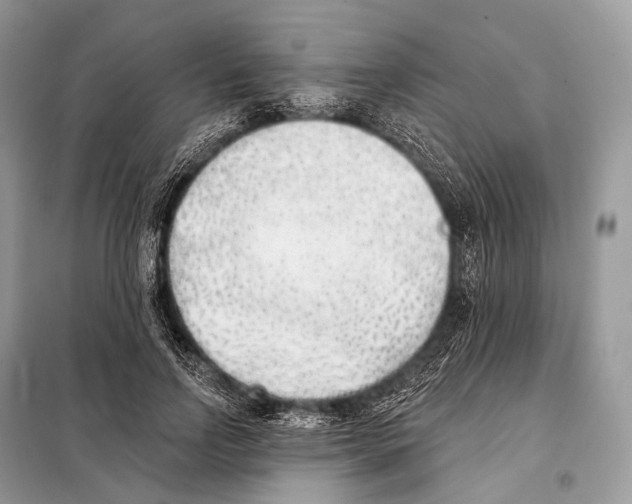 X0000098110742200805021132