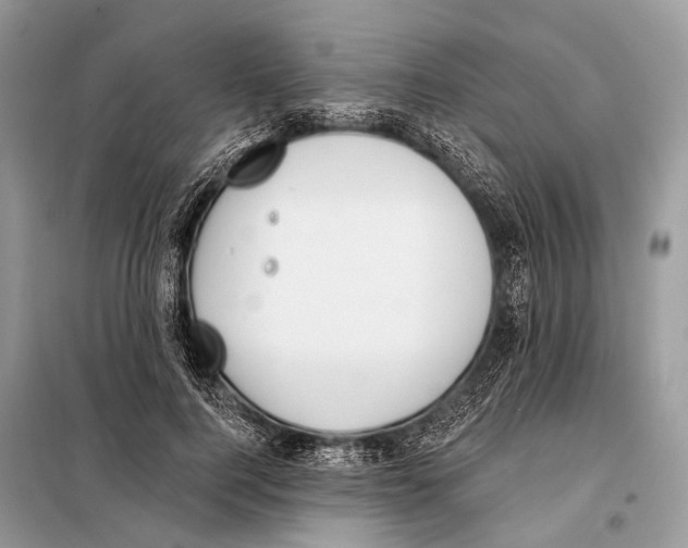 X0000098110744200805021132