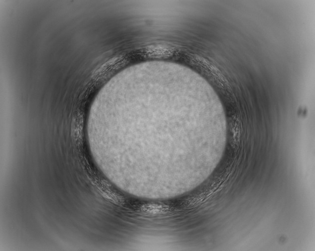 X0000098110745200805021132