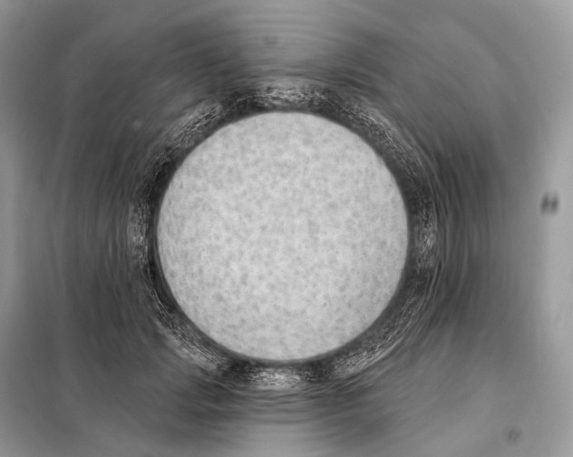 X0000098110749200805021132