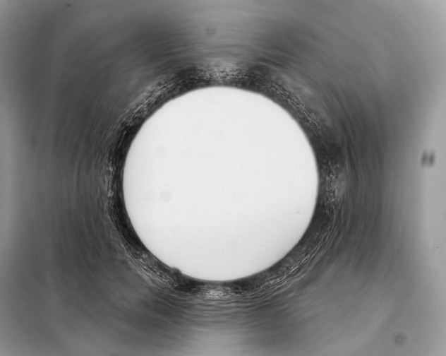 X0000098110750200805021132