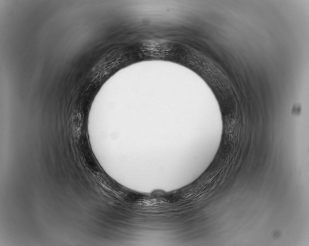 X0000098110752200805021132