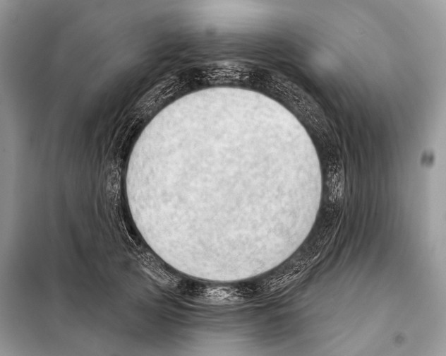 X0000098110753200805021132