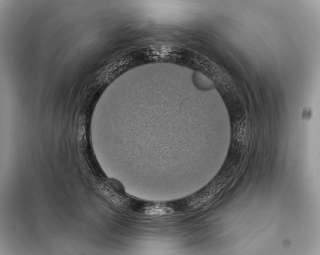 X0000098110754200805021132