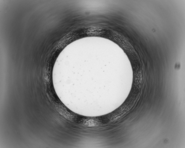 X0000098110755200805021132