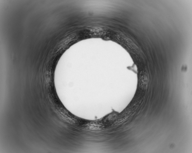 X0000098110756200805021132