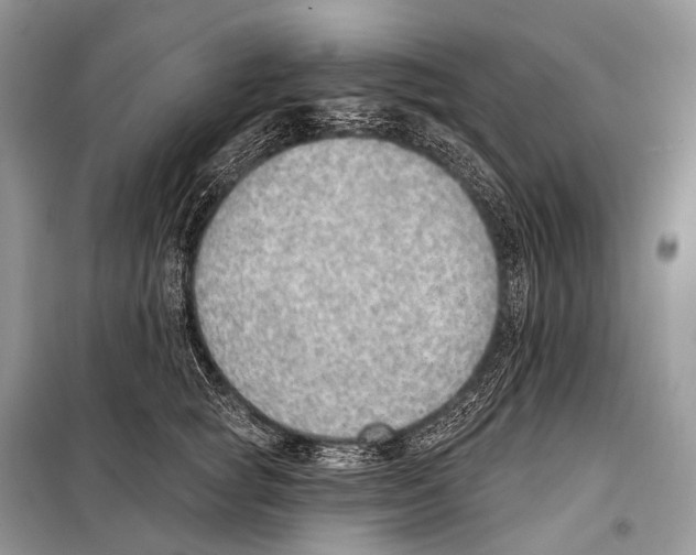 X0000098110757200805021132