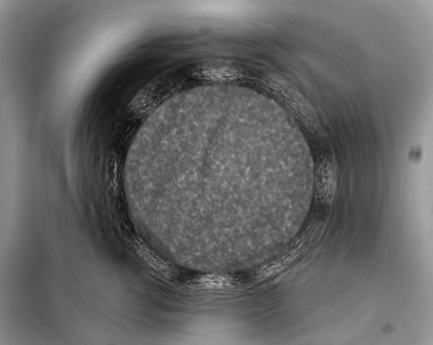 X0000098110762200805021132