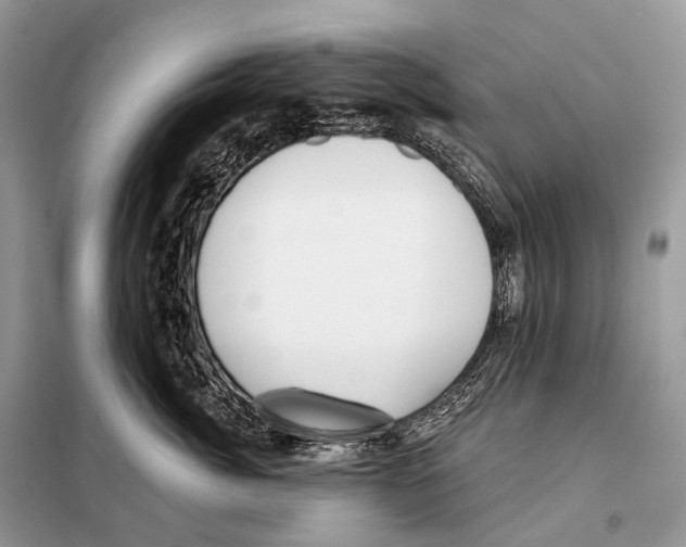 X0000098110764200805021132