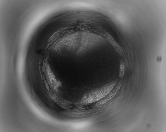 X0000098110765200805021132