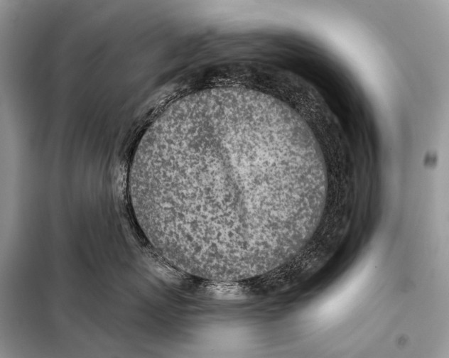 X0000098110767200805021132