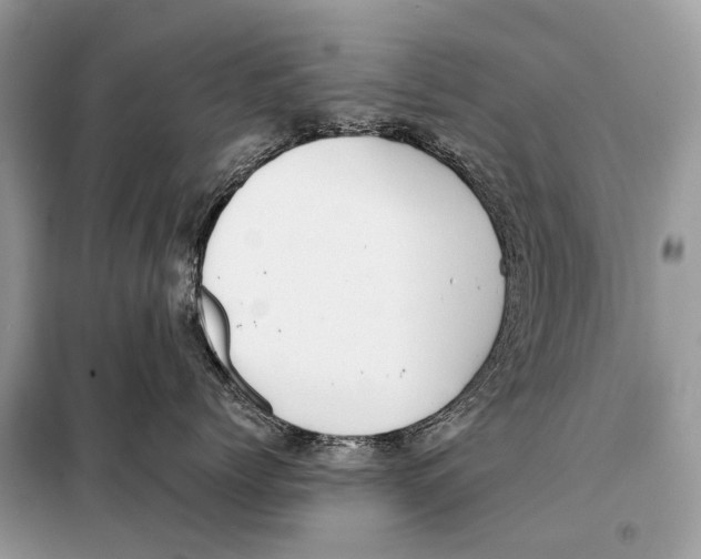 X0000098110768200805021132