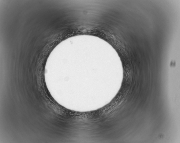 X0000098110769200805021132