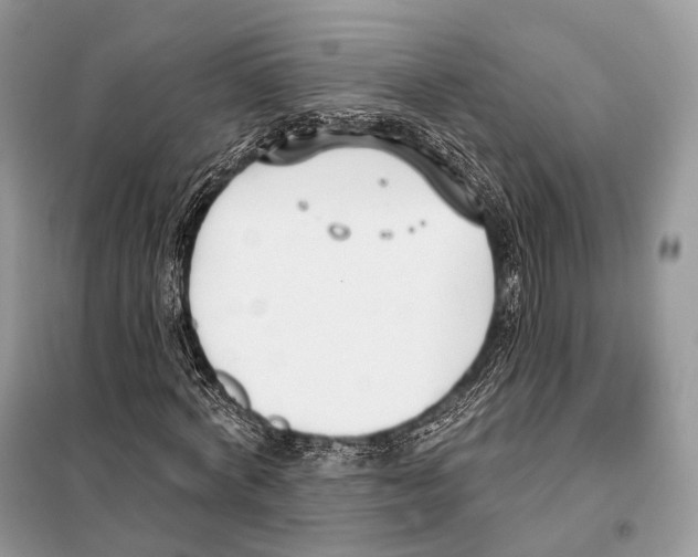 X0000098110772200805021132