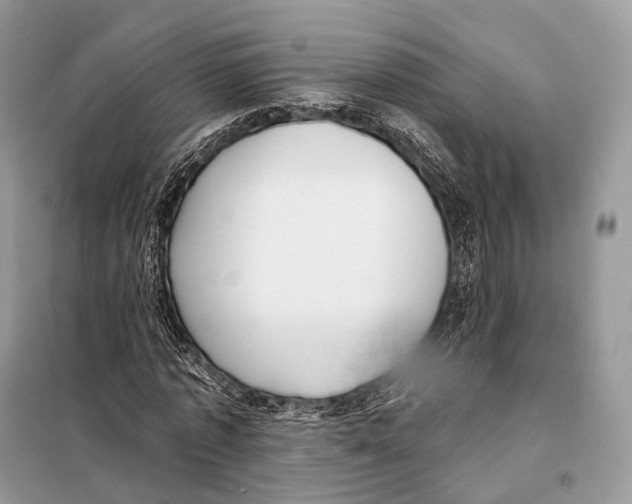 X0000098110773200805021132