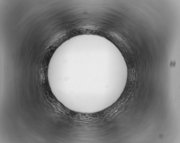 X0000098110774200805021132