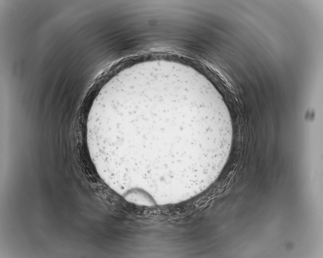 X0000098110776200805021132