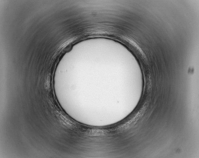 X0000098110777200805021132