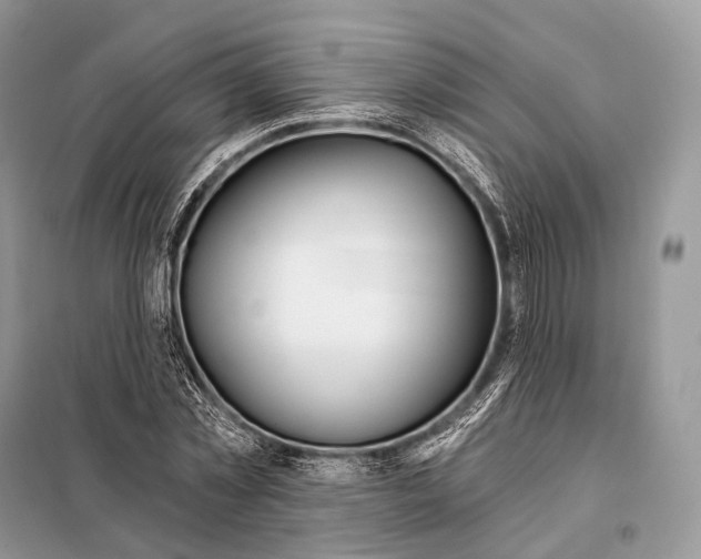 X0000098110781200805021132