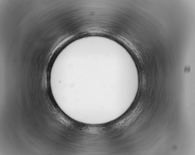 X0000098110782200805021132