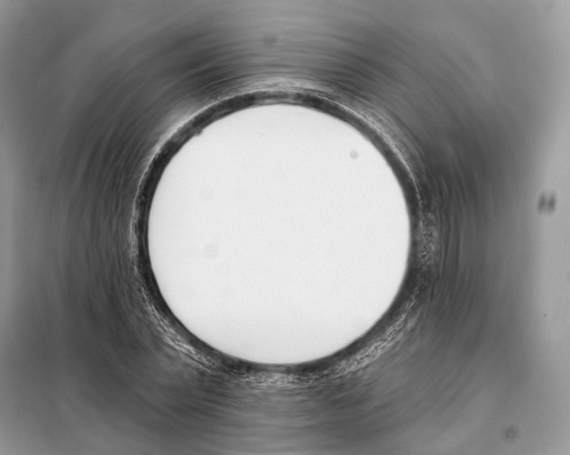 X0000098110783200805021132