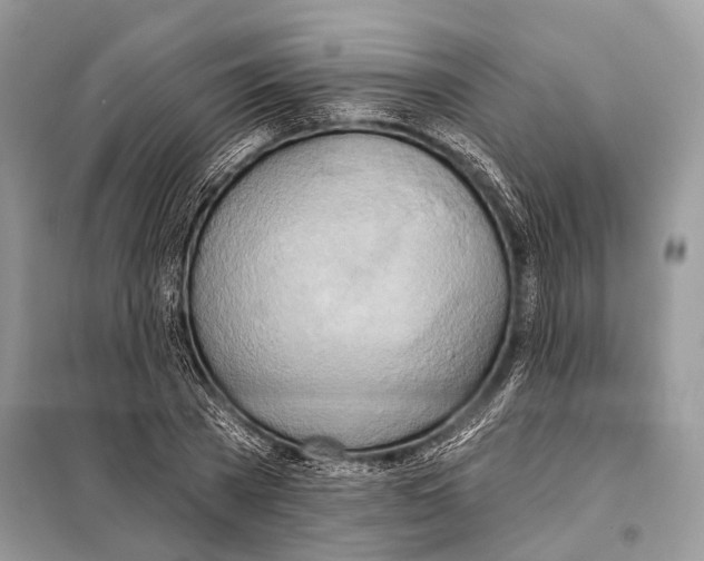 X0000098110785200805021132