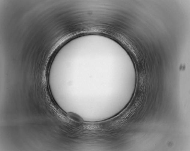 X0000098110789200805021131