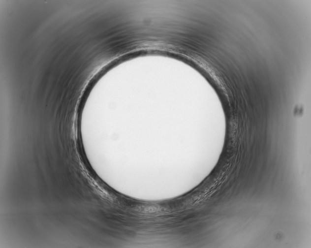 X0000098110791200805021131