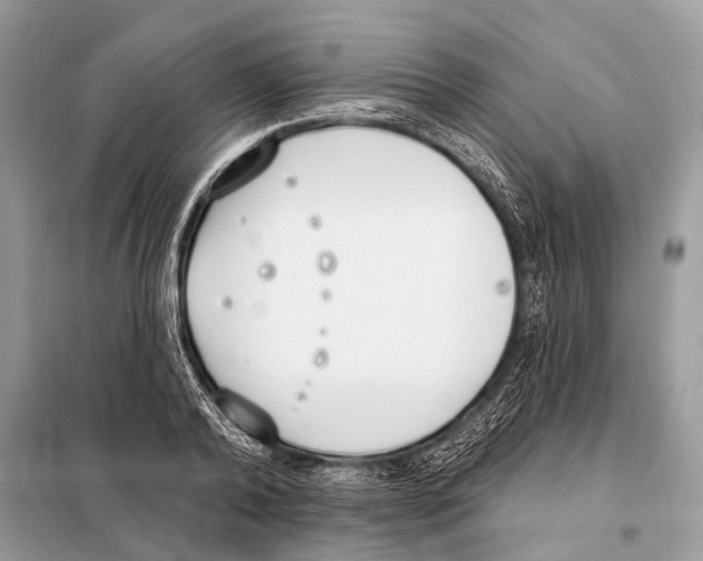 X0000098110792200805021131