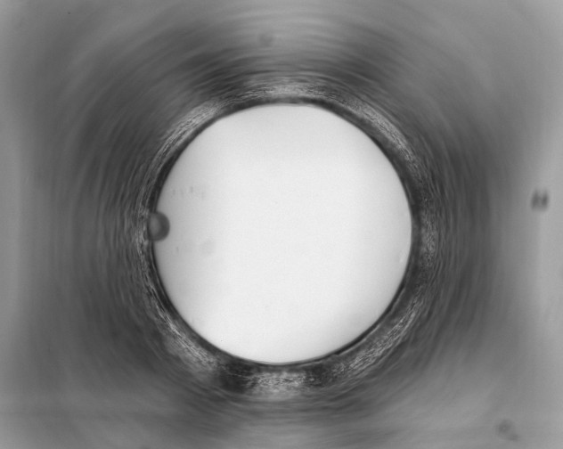 X0000098110793200805021131