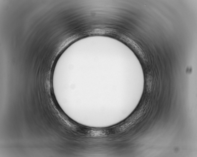 X0000098110794200805021131