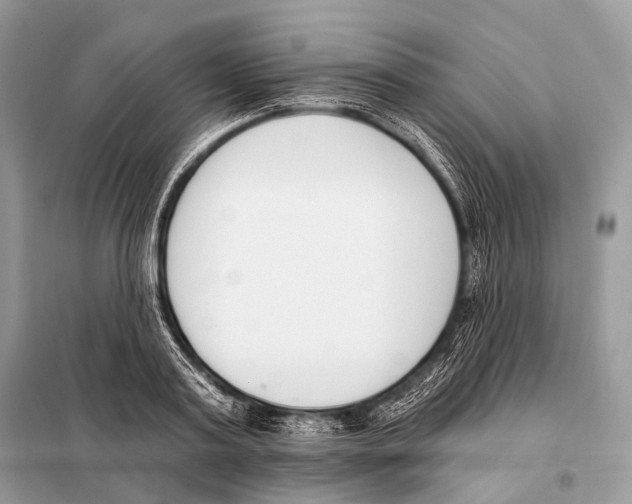 X0000098110795200805021131