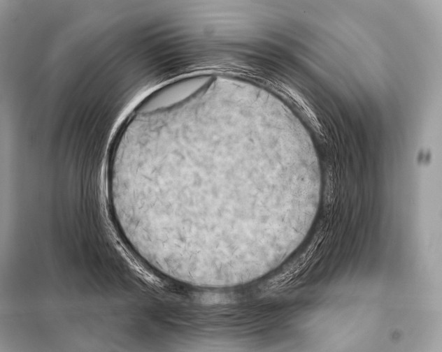 X0000098110796200805021131