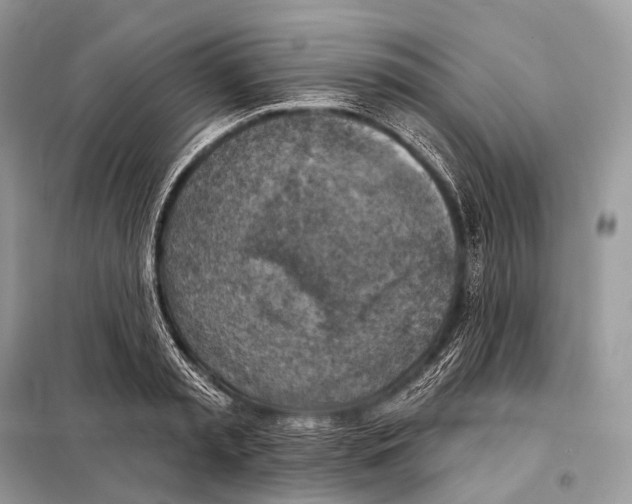 X0000098110797200805021131